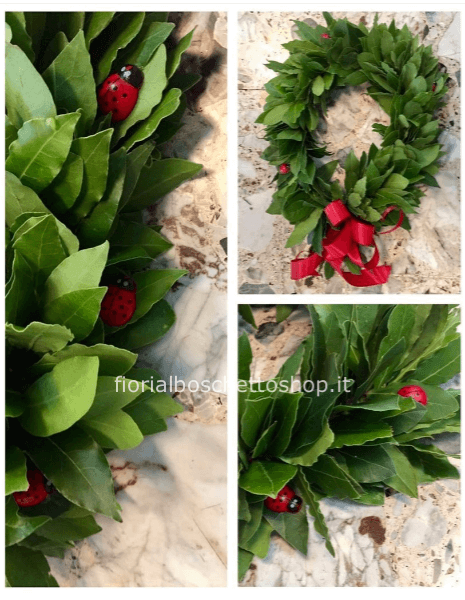 Coroncina di alloro per laurea con coccinelle