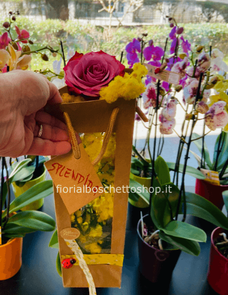 Borsetta con mimosa e rosa assortita.