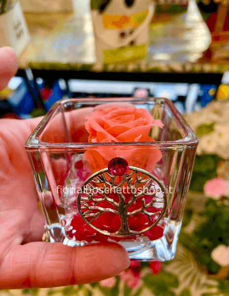 Rosa stabilizzata con albero della vita