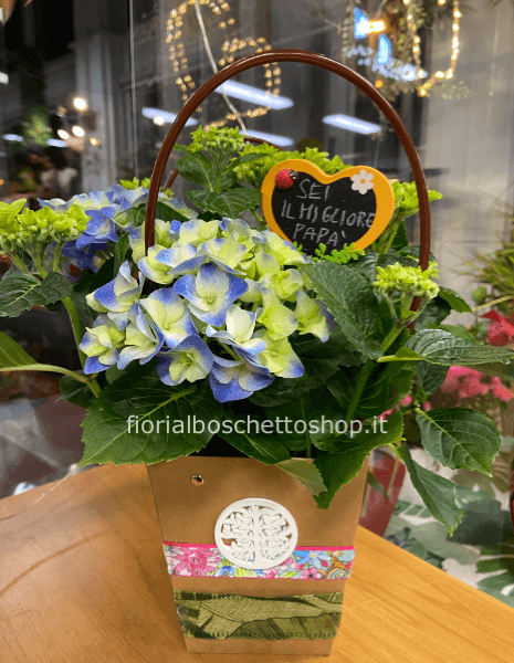 Speciale festa del papà ortensia bluette