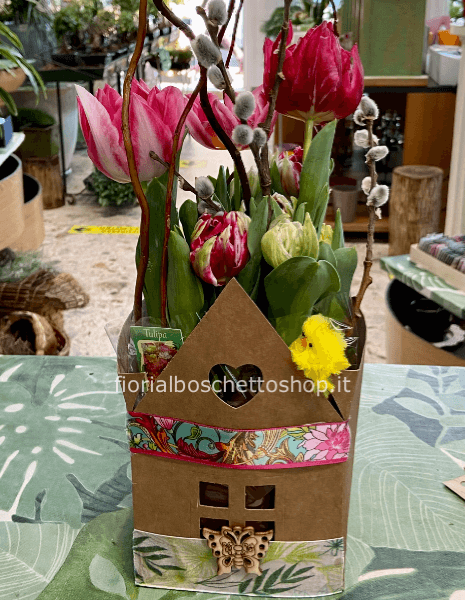 Tulipani con bulbo confezione casetta