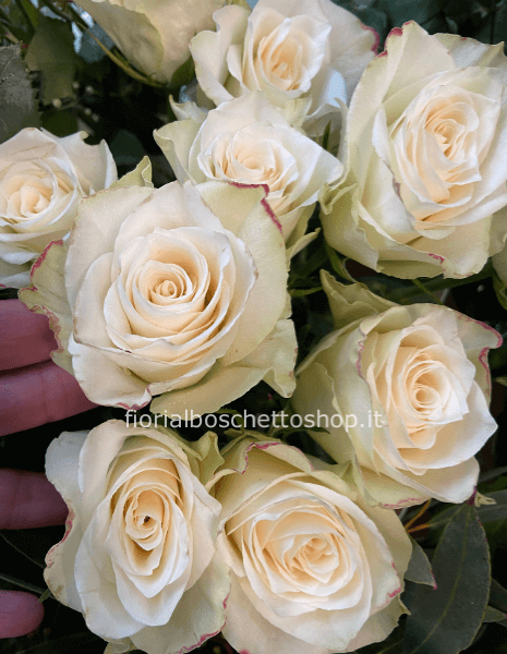 Rose bianche a steli, prima scelta, lunghezza 50 cm.