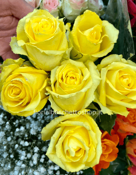 Rose gialle a steli, prima scelta, lunghezza 50 cm.
