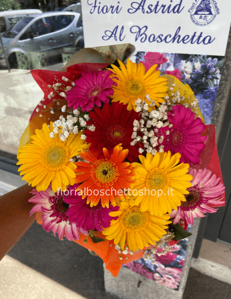 Gerbere assortite