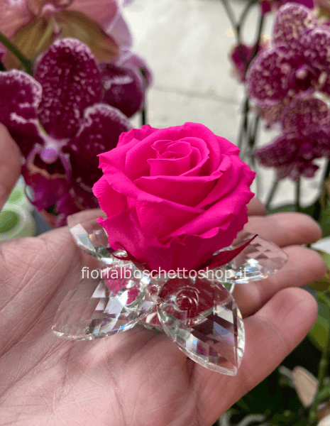 Rosa stabilizzata ninfea 