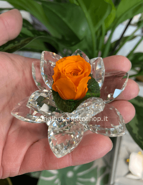 Rosa stabilizzata in piccola  ninfea 