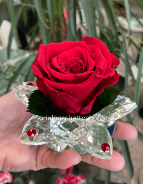 Maxi rosa stabilizzata su petali di cristallo