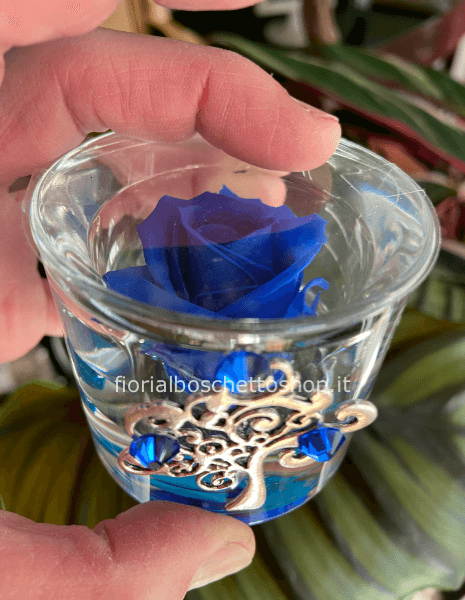 Rosa stabilizzata piccola con albero della vita